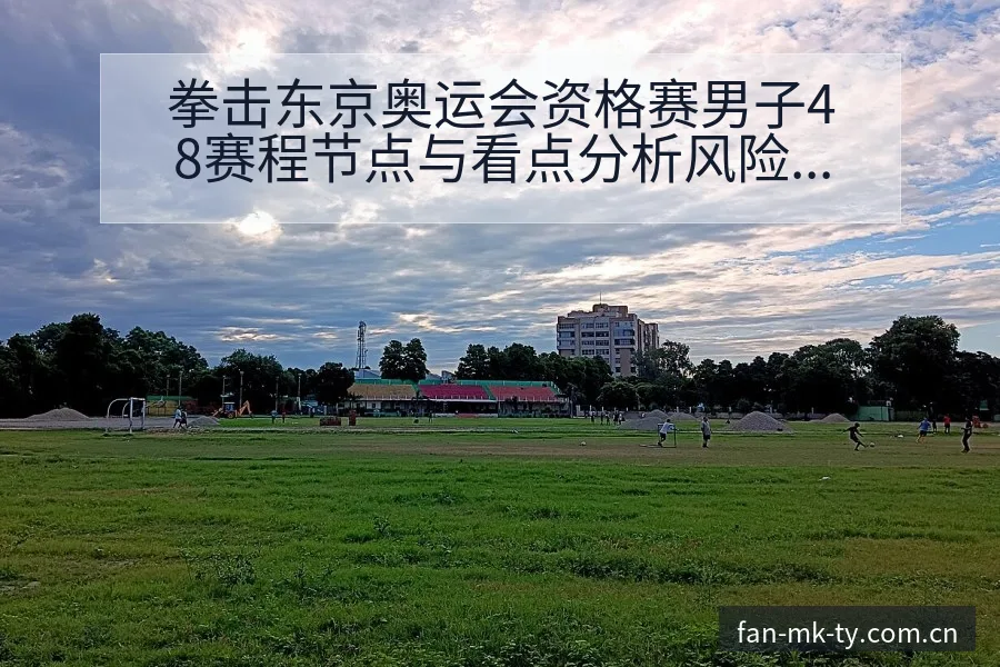 拳击东京奥运会资格赛男子48赛程节点与看点分析风险观察 - MK体育app